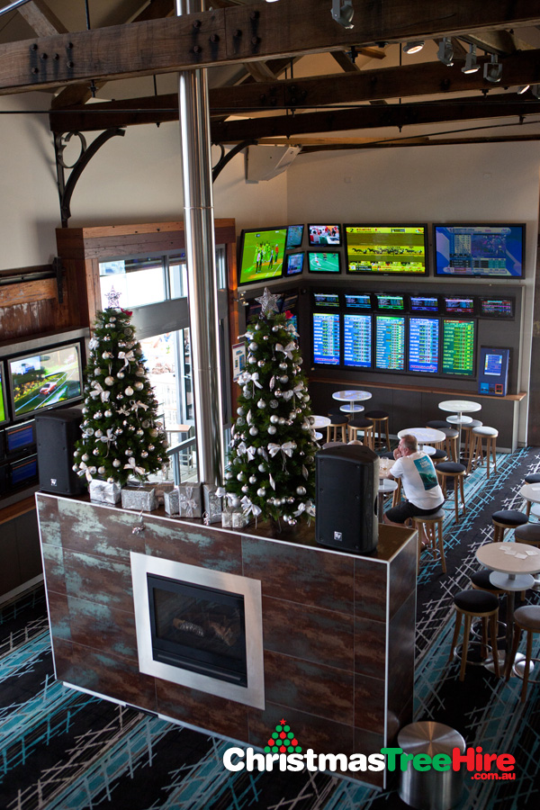 Hire Artificial Decorated Christmas Trees in the Newcastle, Port