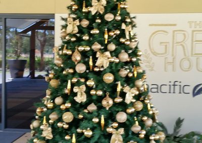 , Client Gallery, Christmas Tree Hire