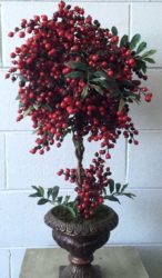 Topiary Berry 66cm