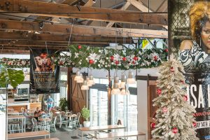 Christmas Tree Hire