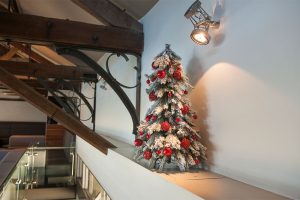 Christmas Tree Hire